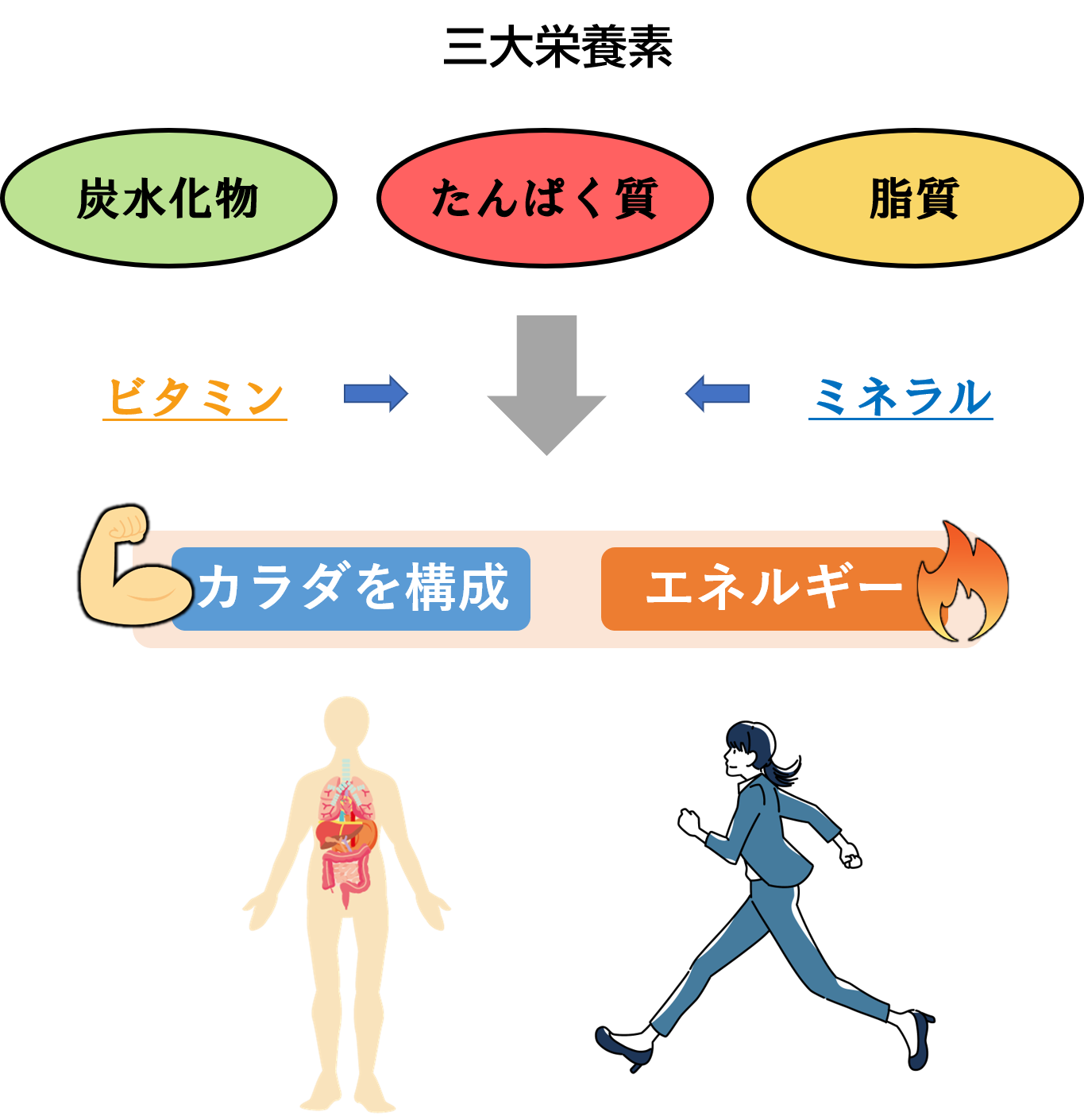 ミネラルって何のためにあるの?カラダを整えるミネラルの種類と働き | 人と企業の未来を想う|After Reha