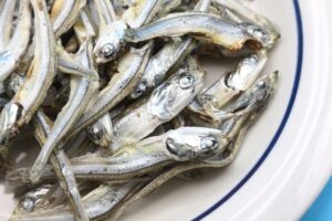 小魚
