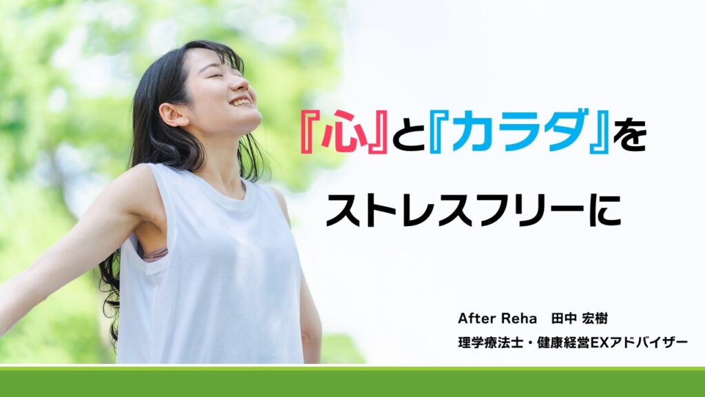 配布資料