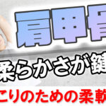 肩甲骨サムネ